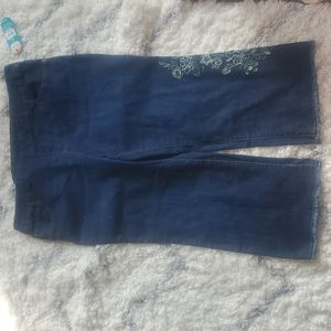 Pioneer Woman pull on cropped pants with embroidery Size XXL (20) NWT
